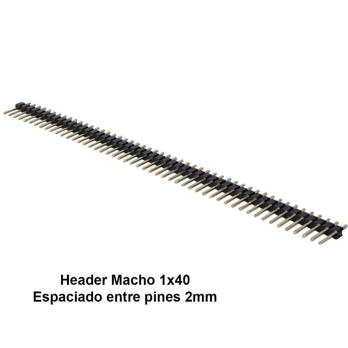 Tira 40 Pin macho 2,0 MM Recto 15MM - MonarcaTech